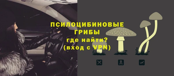СК Михайлов