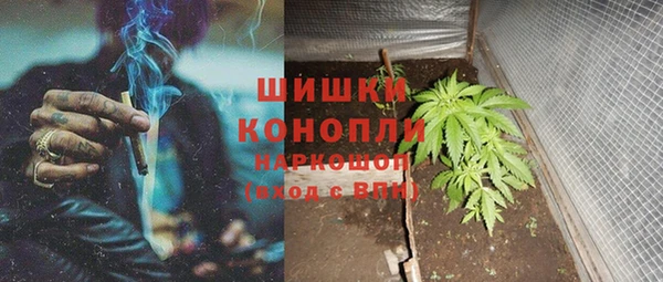 СК Михайлов